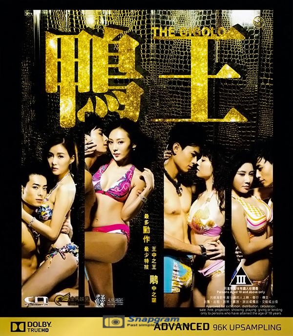 鸭王2(2016)TheGigolo27-11